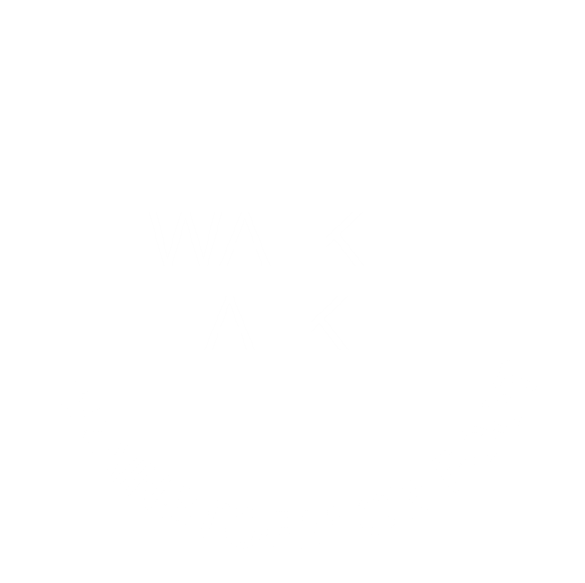 Walkie Talkie